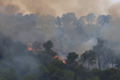 Las llamas devoran la masa forestal en Xerta (Tarragona), este martes.