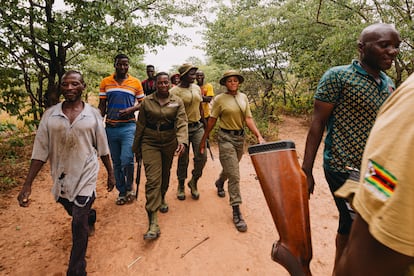 Los guardas forestales de Akashinga y los  habitantes de la zona intentan localizar a los elefantes que han causado daños en los cultivos listos cerca de Sinamwenda. 