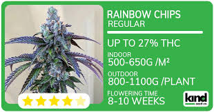Discover the Best Marijuana Seeds in Wisconsin Discover the Best Marijuana Seeds in Wisconsin