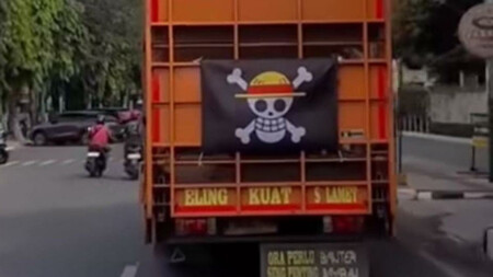 Bandera One Piece