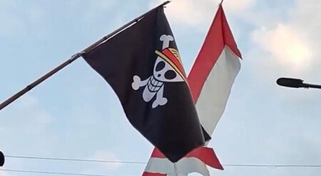 Bandera One Piece 2