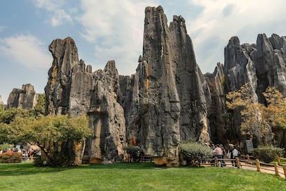 El karst de Shilin l Bosque de Piedra, en Yunnan.