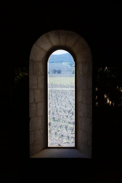 Vista de la viña desde el interior de la iglesia. 