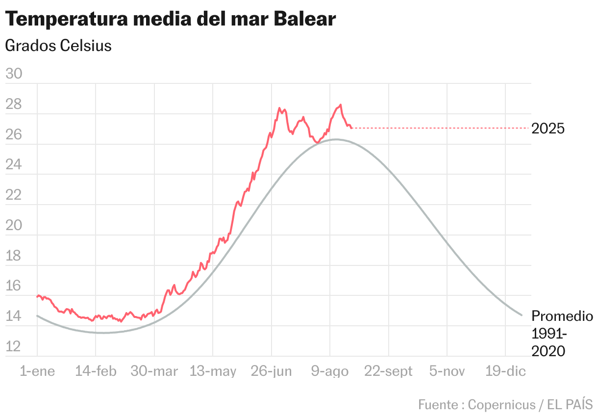 Temperatura media del mar en verano (Líneas)