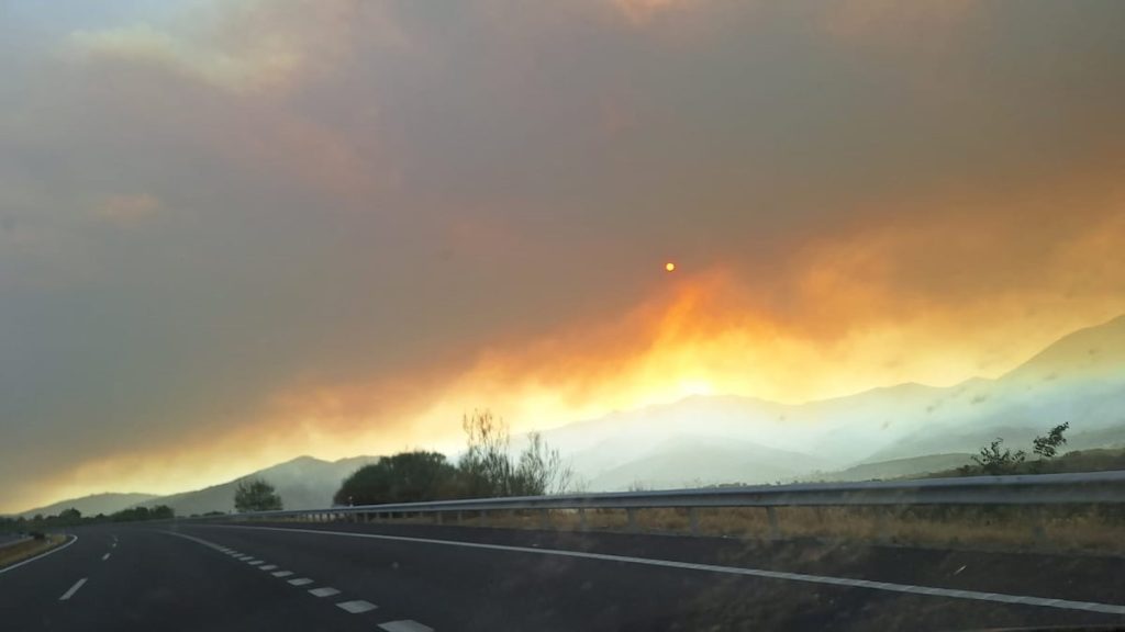 EL PAÍS