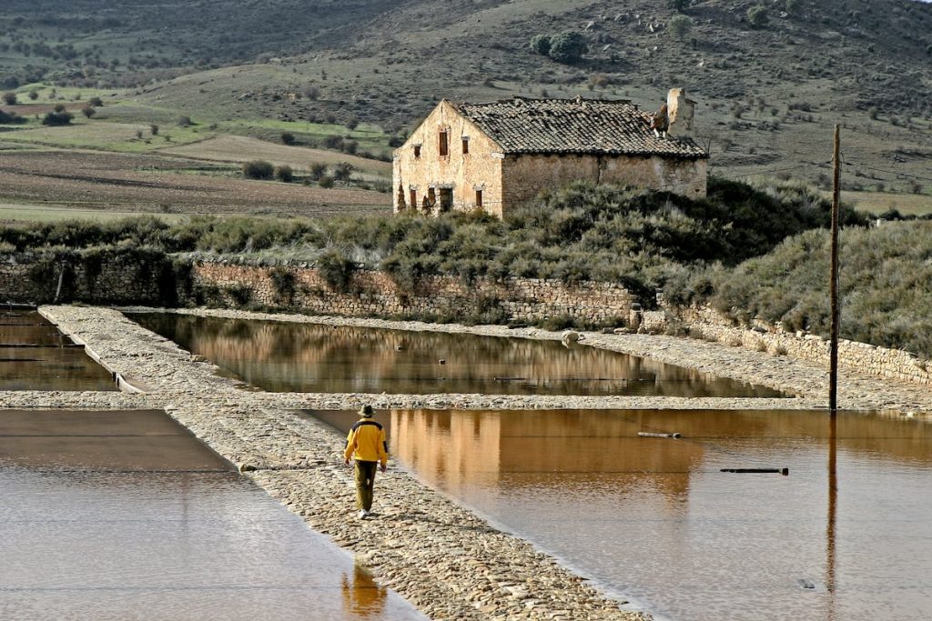 EL PAÍS