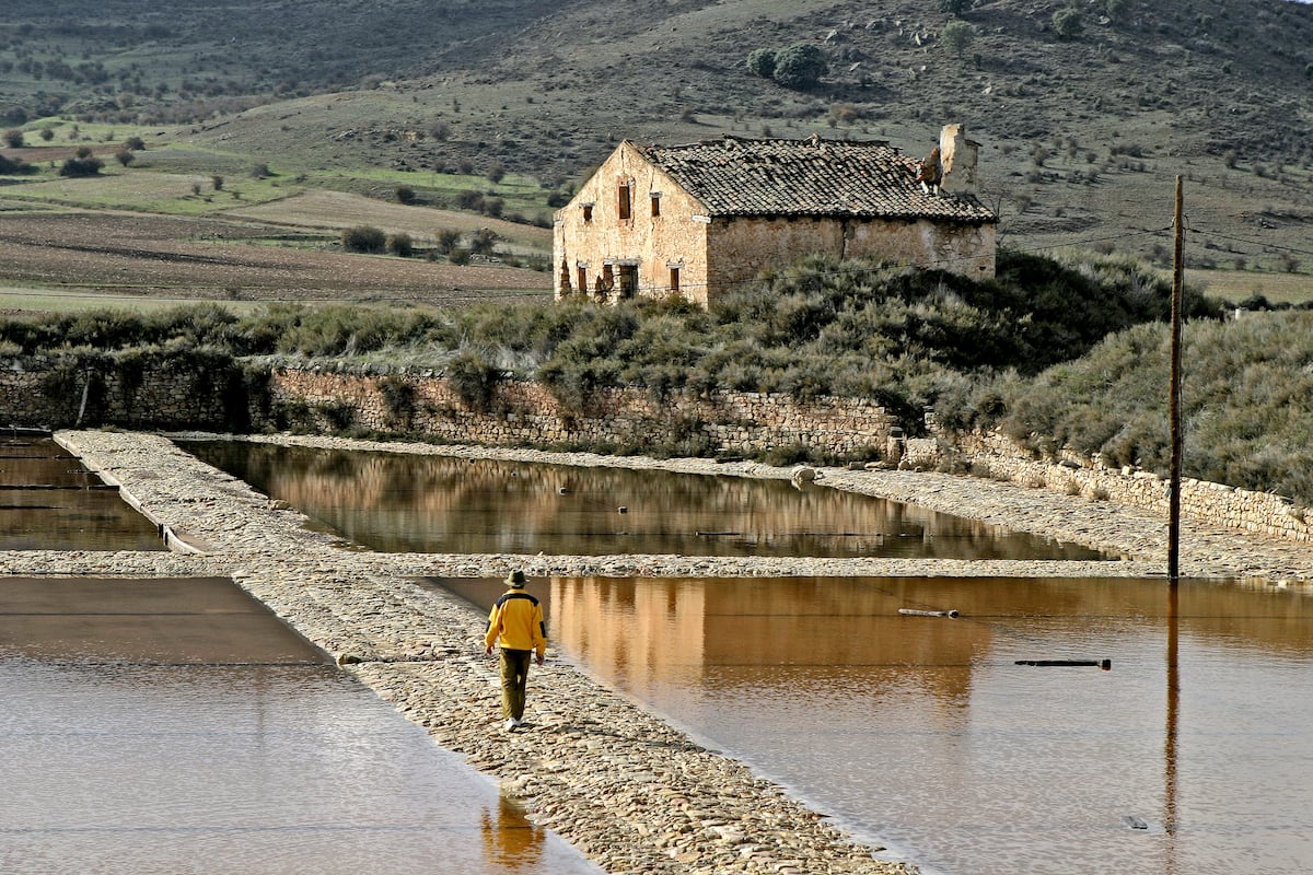 EL PAÍS