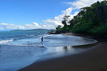 Playa Drake, entrada al Parque Nacional Corcovado, Península de Osa, Costa Rica. 