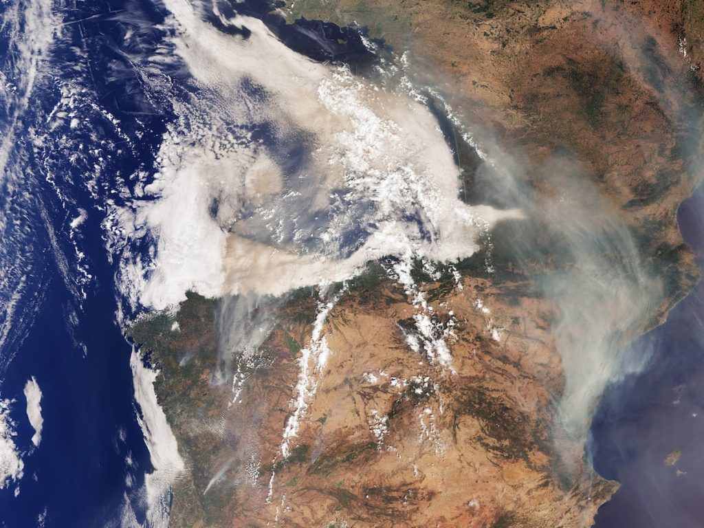 EL PAÍS