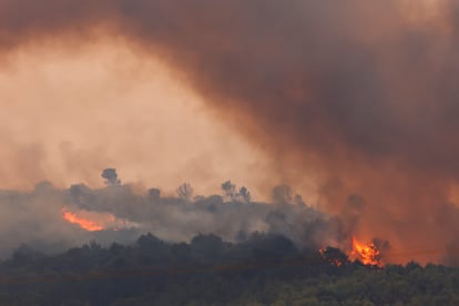 Árboles arden durante un incendio forestal al amanecer cerca de Saint-Laurent-de-la-Cabrerisse, cerca de Narbona, en el sur de Francia, este miércoles.