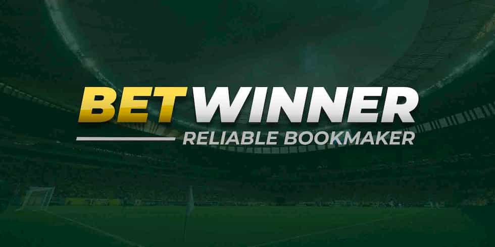 Experience the Excitement of BetWinner Live Casino 11