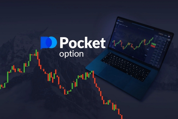 Explore the Features of Pocket Option Platform