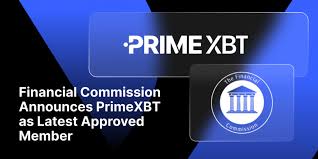 Understanding PrimeXBT Forex Risk Management Strategies for Success