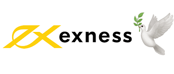 Understanding the Dynamics of Exness Limited VC Understanding the Dynamics of Exness Limited VC