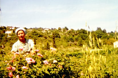 Catherine Dior en los campos de flores de la propiedad.