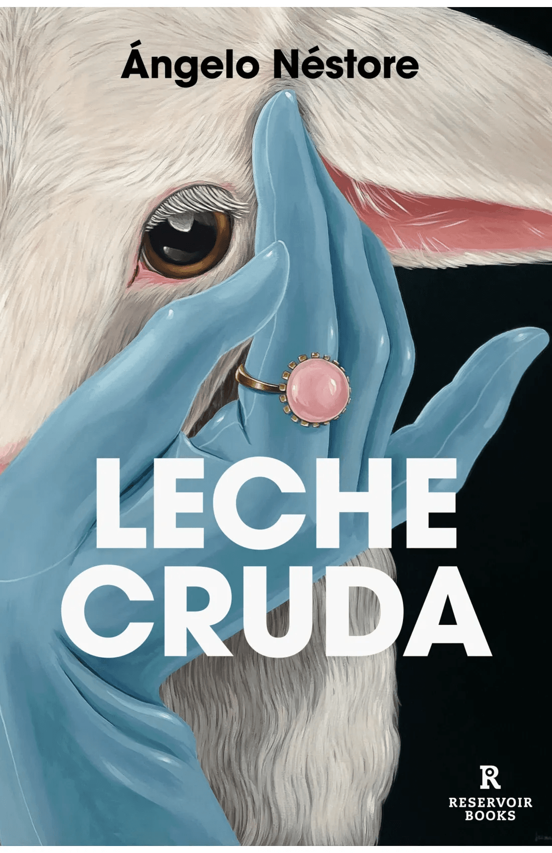 Leche cruda Angelo Nstore novela cubierta con un cordero y plano detalle de una mano con guante azul y una sortija rosa