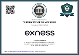 Guide to Exness Account Login Accessing Your Trading Platform