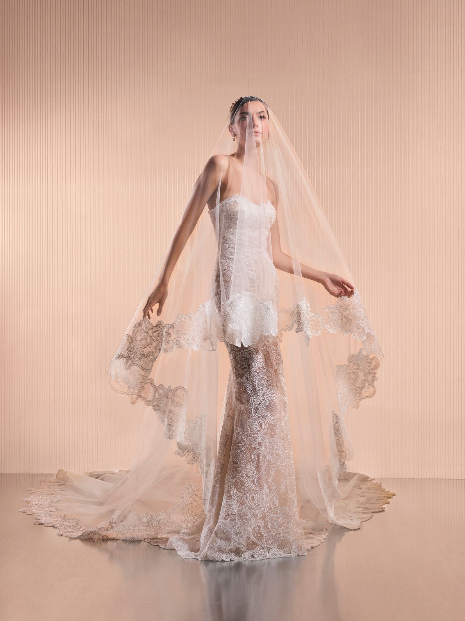pronovias x elisabetta franchi 2026