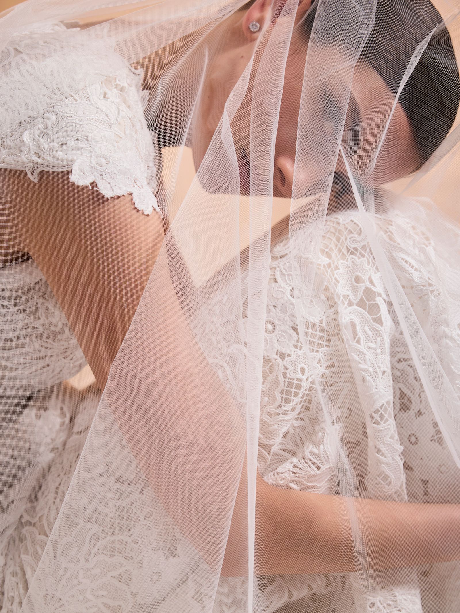 pronovias x elisabetta franchi 2026