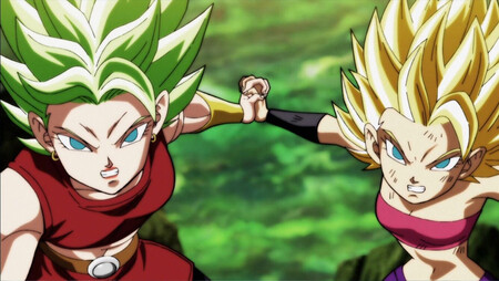 Saiyans Del Universo 6