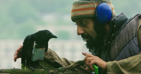 Four Lions
