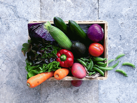 Cinco apps que transformarán tu alimentación y hábitos desde tu celular