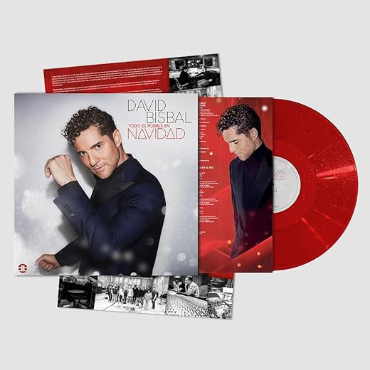 Todo Es Posible En Navidad - Vinilo