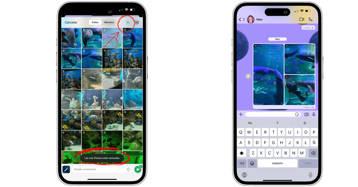 Cómo enviar fotos con movimiento desde tu WhatsApp WhatsApp ya permite enviar 'Live Photos' con movimiento y audio.- Blog Hola Telcel