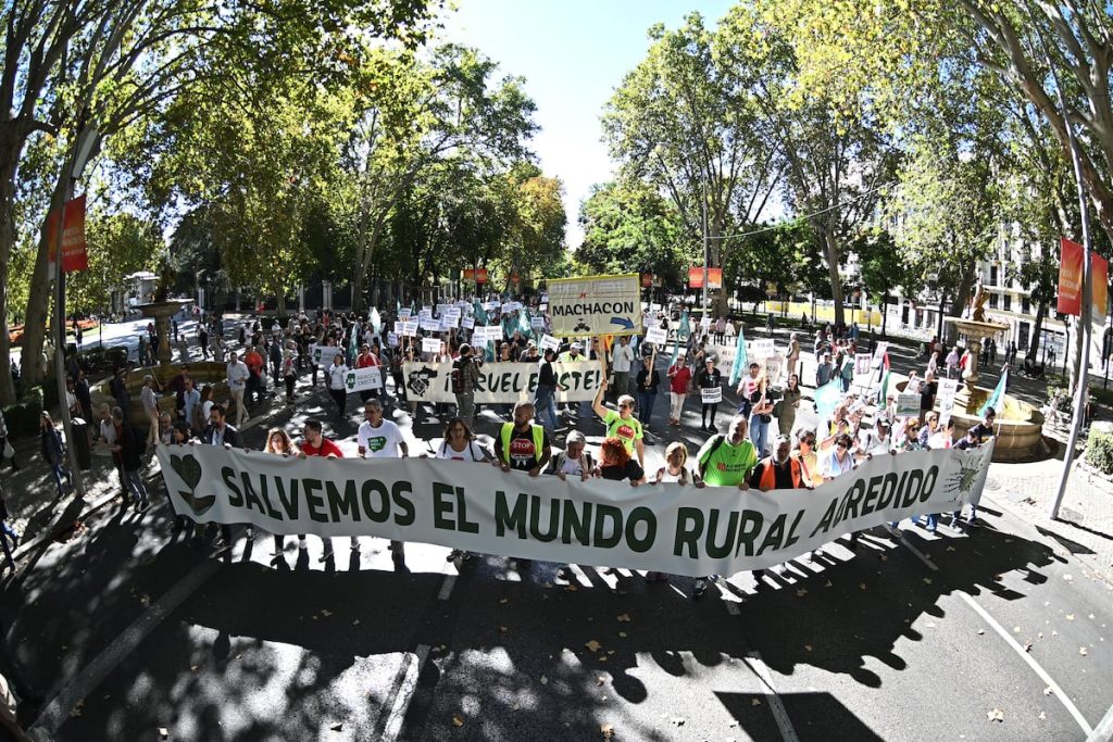 EL PAÍS
