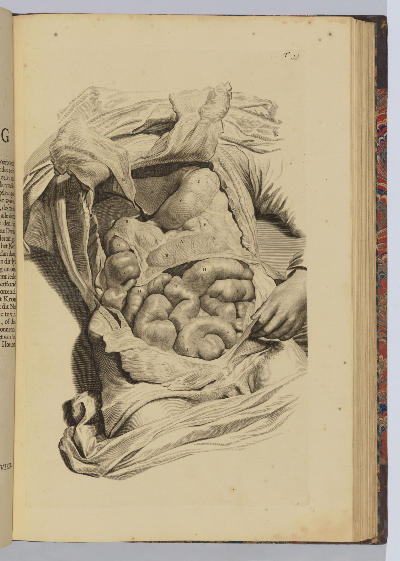 The Anatomical Body Lmina 33 de ‘Ontleading des menschlyken Lichaems de Govard Bidloo realizada por Abraham Blooteling ...