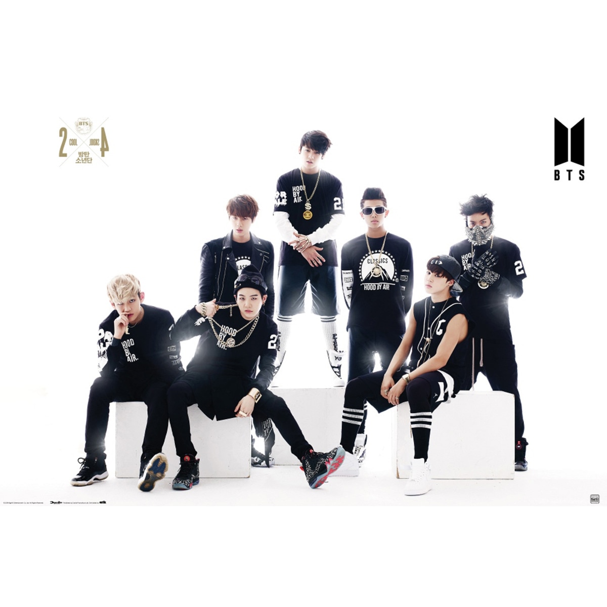 Póster BTS Blanco&Negro.