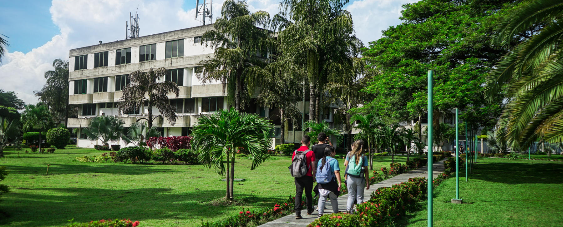 Universidad Bicentenaria de Aragua | Línea de investigación