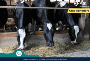 Luis Alejandro Sampayo Cabada | Salud en el Hato