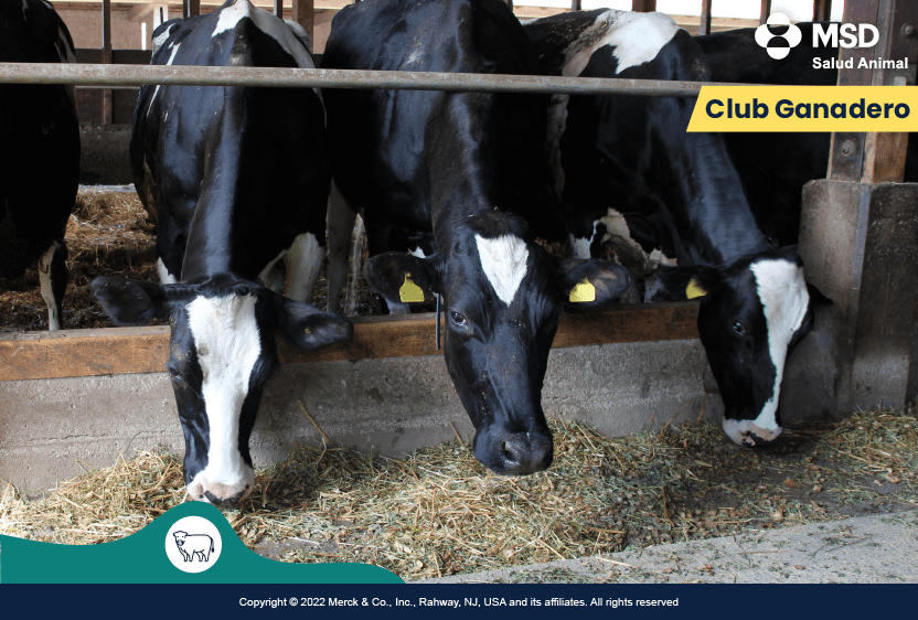 Luis Alejandro Sampayo Cabada | Salud en el Hato