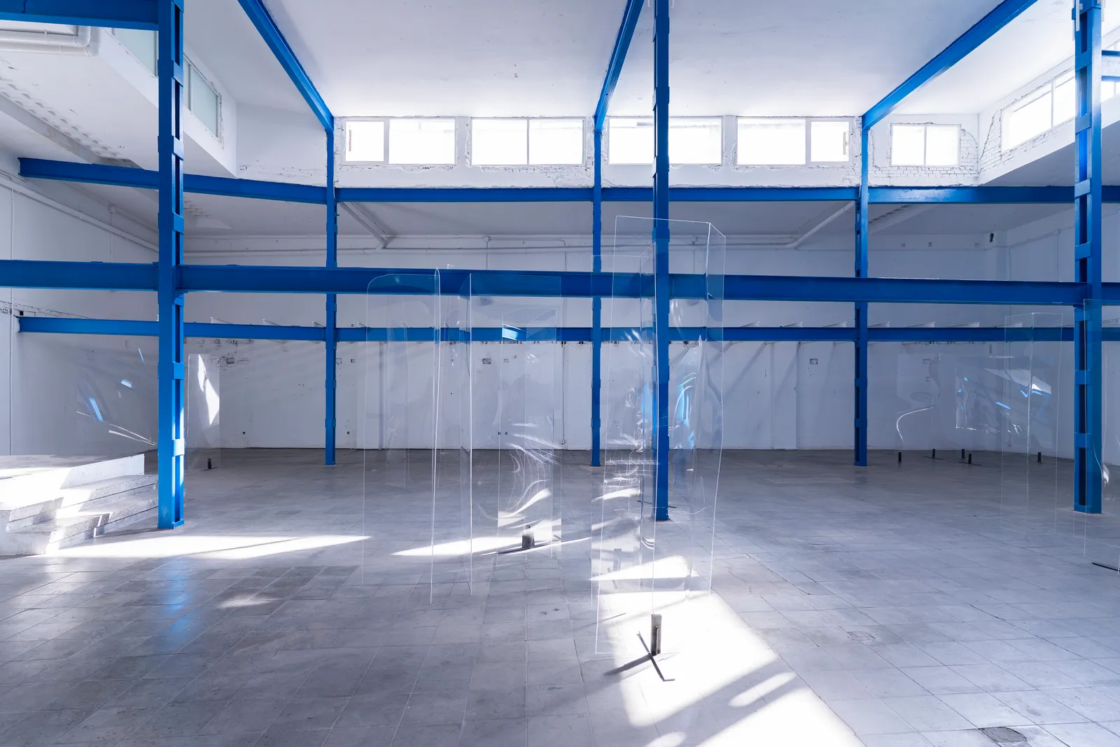 Sofía Montenegro “Lo que pretendo es que el arte sea una experiencia universal y que cada persona lo perciba de una manera”