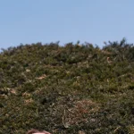 No puedo vivir sin estrés: cómo bajar el volumen del mundo sin desaparecer de él