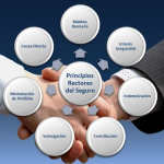 Los 7 principios del seguro por Hjalmar Gibelli