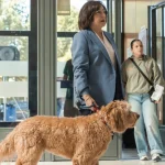 ‘Celeste’ 2: reparto, sinopsis, tráiler y todo sobre la continuación de la serie sobre la inspectora de hacienda que protagoniza Carmen Machi