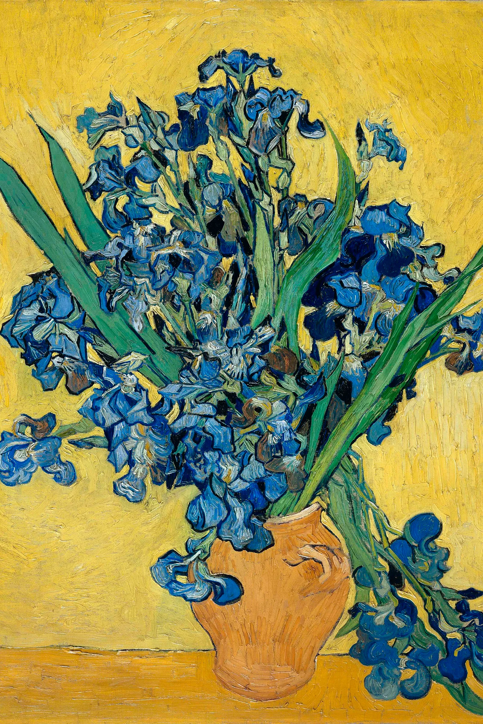 Irises by Vincent van Gogh