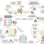 Desafíos de la Cadena de Frío