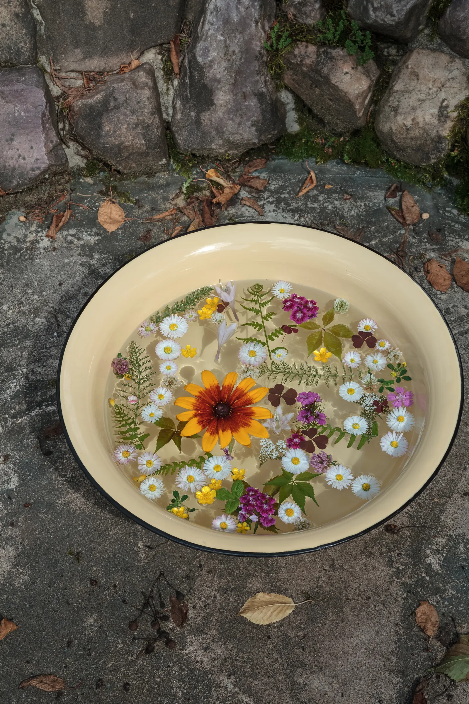Cuenco con agua y flores silvestres