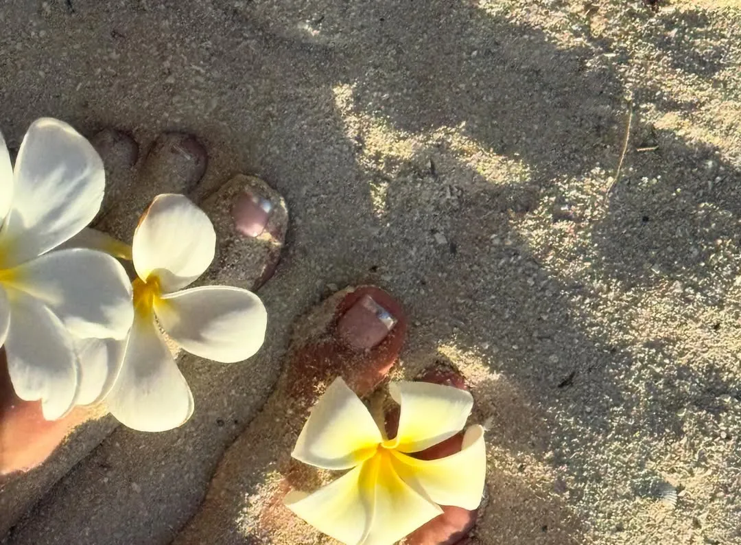 Image may contain Flower Petal Plant Rock Soil and Outdoors