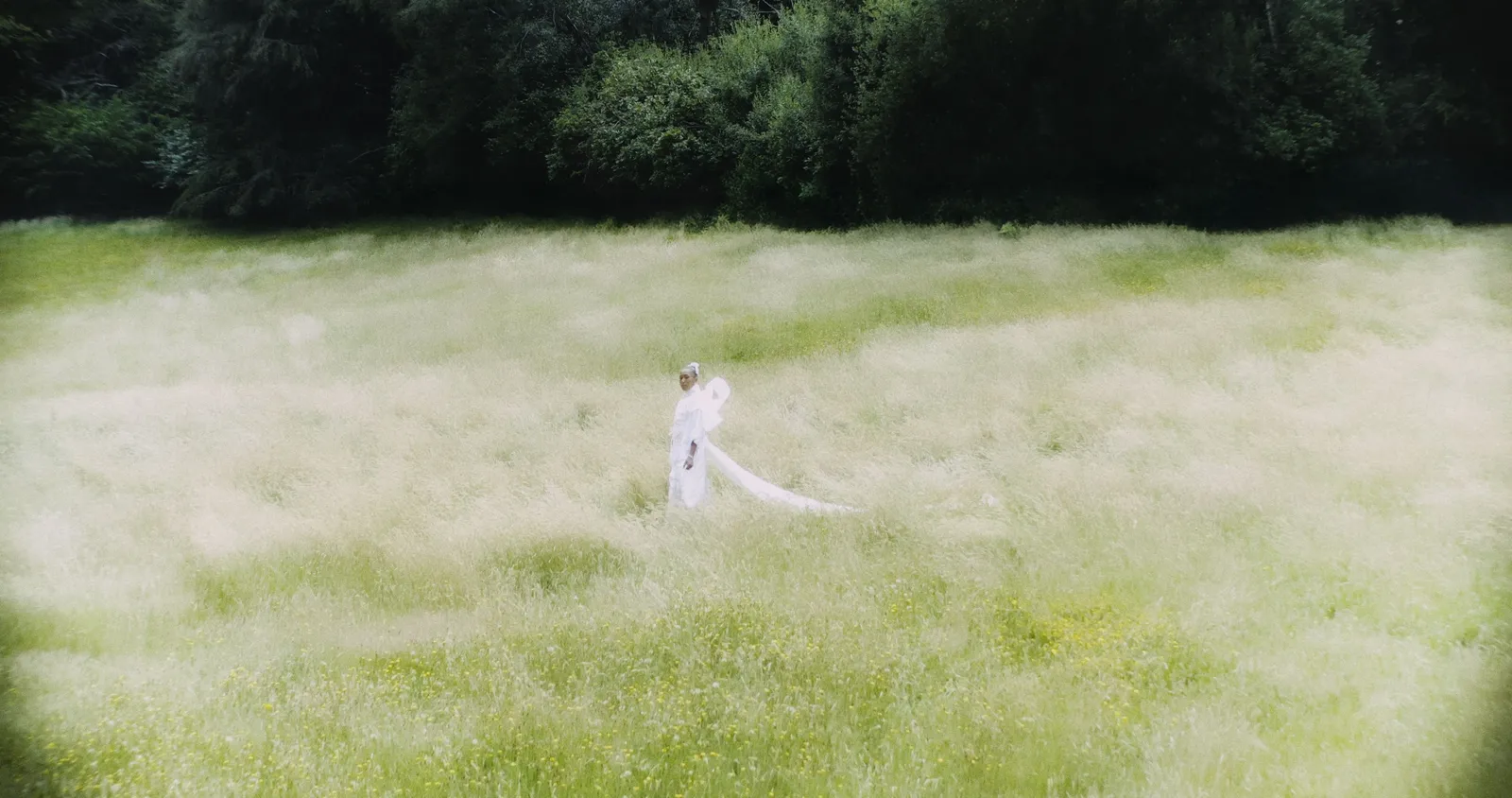 Image may contain Camille Billops Grass Plant Clothing Dress Vegetation Face Head Person Photography and Portrait